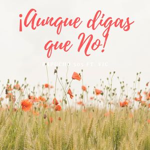 Aunque Digas Que No (feat. Vic)