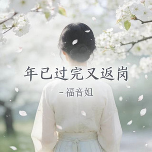 年已过完又返岗 (烟嗓版)