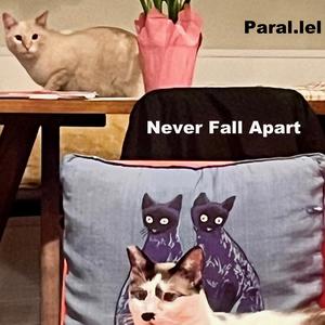 Never Fall Apart