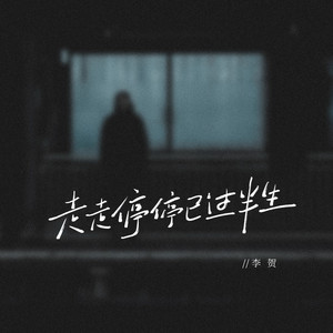 走走停停已过半生