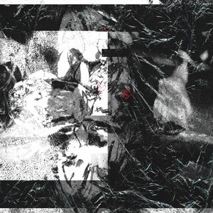 Never Moonlight (feat. frvr& alwys & WellFed)