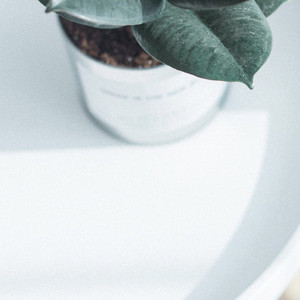 慵懒的假日(轻爵士)