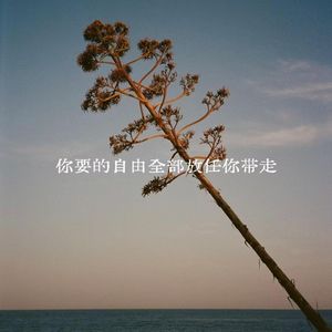 你要的自由全部放任你走