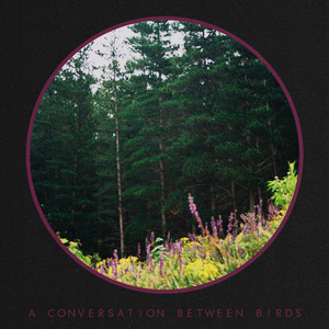 A Conversation Between Birds