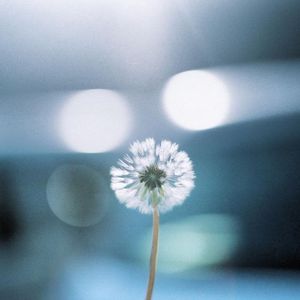 心跳同步的时光