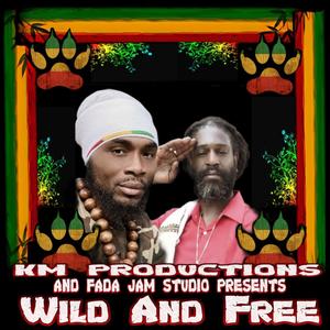 Wild and Free (feat. Afrokan)