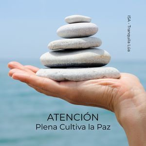 Encuentra Paz en lo Simple