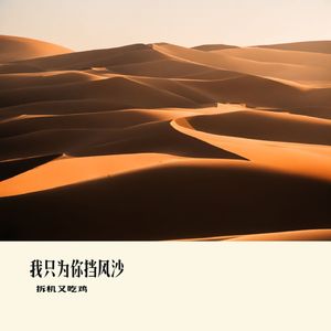 我只为你挡风沙