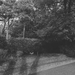 微妙的蒸气浴心情