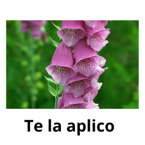 Te la aplico