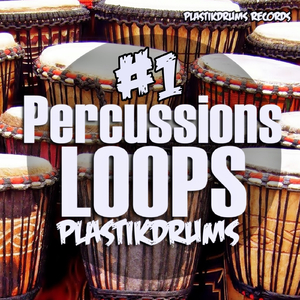 Percussions Loop #1 (Original Mix)