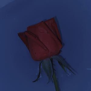 一人有一个梦想（Cover 黎瑞恩）