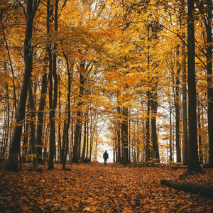 Gutkowski Skyway Eigh