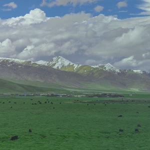 敕勒歌（谭维维版）