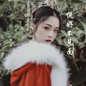 说好了不见面（女声版）