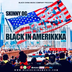 BLACK IN AMERIKKKA