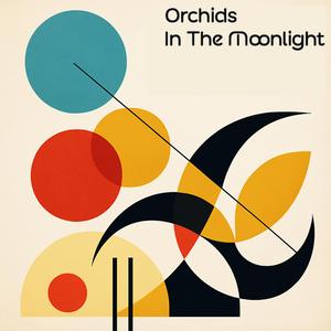 My Heart Belongs to Daddy (Remastered 2025)