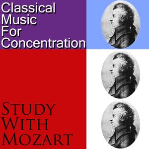 Concerto for Piano and Orchestra in D Major, K 451: II. Andante