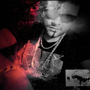 Phönix Aus Der Asche