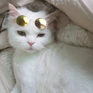 成全（翻自 林宥嘉）（Cover 林宥嘉）