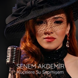 Küçelere Su Sepmişem