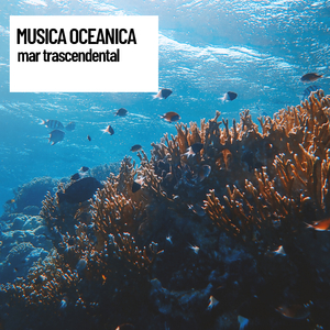 Music & Ocean Ripples