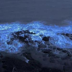 关于你全是秘密xDJ BB版