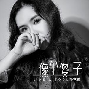 像个傻子（DjHonda仔）