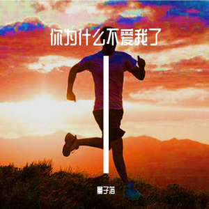 你为什么不爱我了
