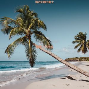 适合旅馆柔软的音乐