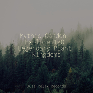 The Ever Changing Spell