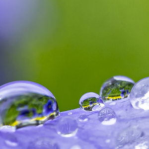 养生放松之深度冥想 (安静轻音乐)