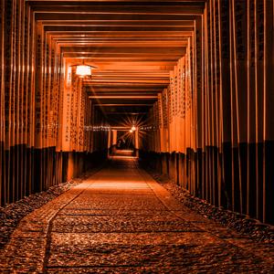 両国天海 영역전개