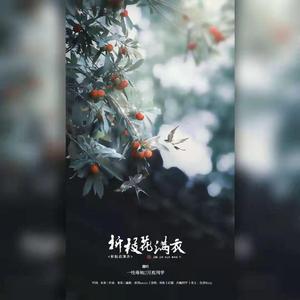 折枝花满衣