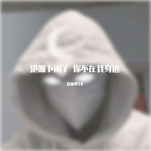 Froggy-沧源下雨了，你不在我身边（高血鸭YK remix）