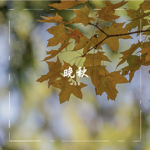 晚秋