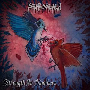 The Recipe for Disaster (feat. Rot)