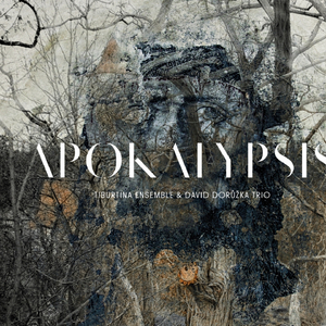 Apokalypsis: Lectio ad decus ecclesiae - Lectio libri Apocalypsis
