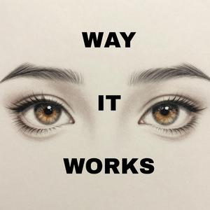 WAY IT WORKS