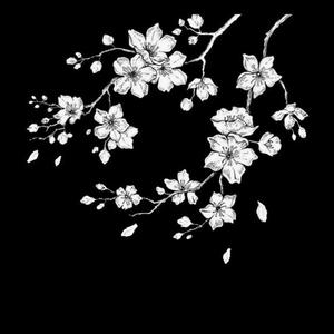 “萧瑟爱” 底特律 x SASIOVERLXRD Type Beat