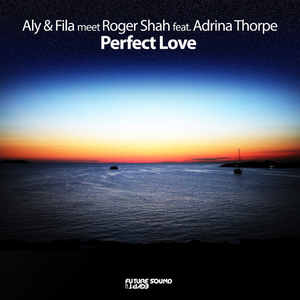 Perfect Love (Radio Edit)