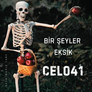 Bir Şeyler Eksik