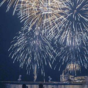 藏（翻自 双笙）