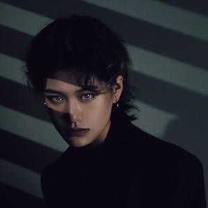 DOMINO(COVER：Stray kids)