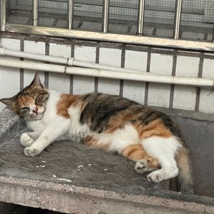 Get in the vibe(Prod By Red killer)