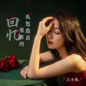 我想逃出有你的回忆 (DJ版)