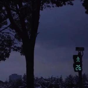 我只想让你陪我