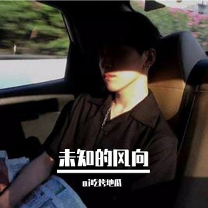 未知的风向 伴奏