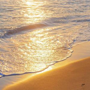 我希望你能够懂