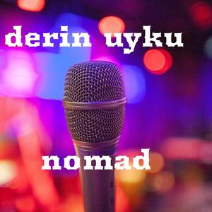 Derin uyku